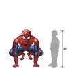 Giant Gliding Spider-Man Webbed Wonder Balloon  |  Characters Characters Characters